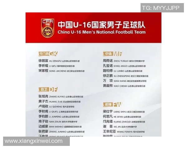 放养足球明星名单及其精彩瞬间的全景展示与分析